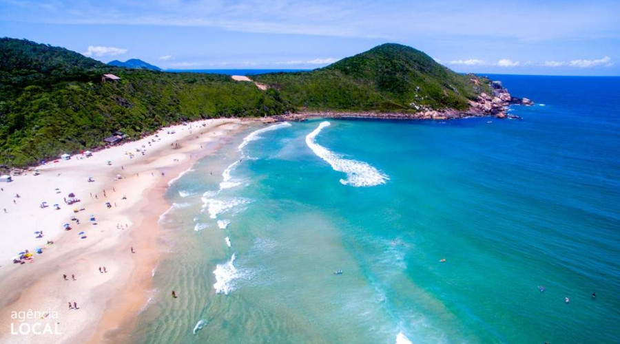 Tudo sobre a Praia do Rosa, uma das mais bonitas do Brasil