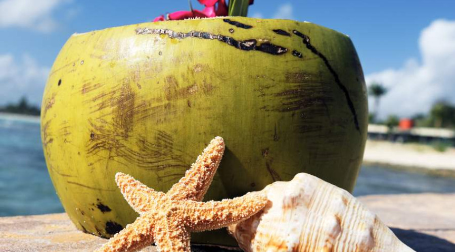 Bombinhas no verão: quando reservar aluguel de temporada para pagar menos