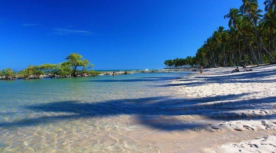 Onde fica Praia dos Carneiros?